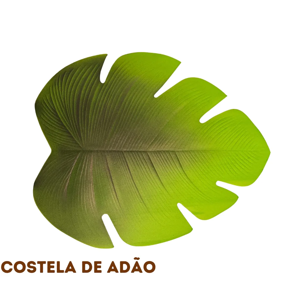 Jogo Americano Costela de Adão